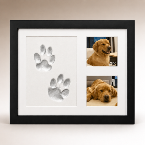 Kit para conservar la huella de tu perro