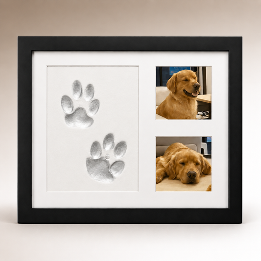 Kit para conservar la huella de tu perro